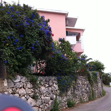 Nissaki Sea View 2* ניסקי